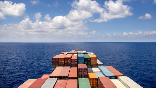 Logistica Strategica Italia-UAE: La Crisi del Mar Rosso e l'Impatto sui Noli